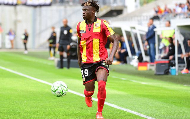 猛草视频